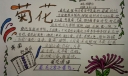 菊花节手抄报图片大全