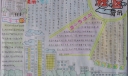 小学生社区手抄报