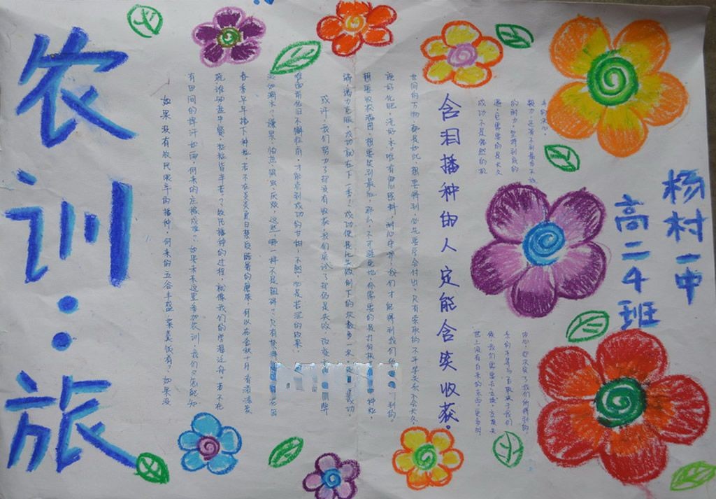 农训手抄报图片