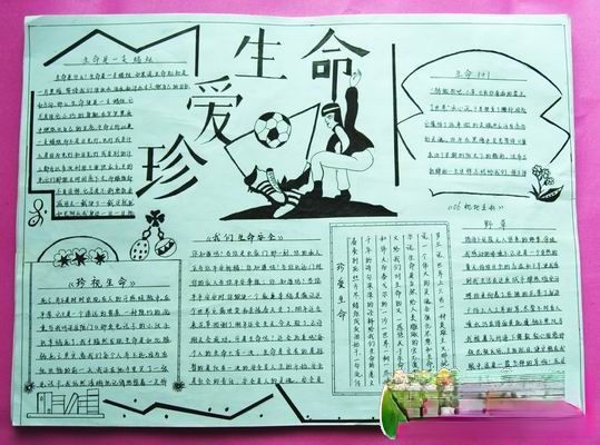 珍爱生命手抄报版面设计图