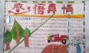 感悟真情手抄报图片
