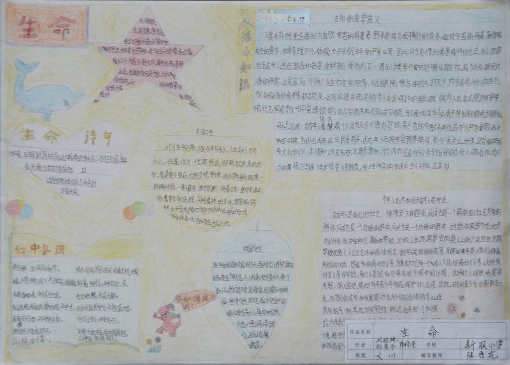 生命安全教育手抄报大全 生命安全教育手抄报大全