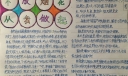 不放烟花从我做起手抄报