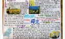 畅游荷兰手抄报图片