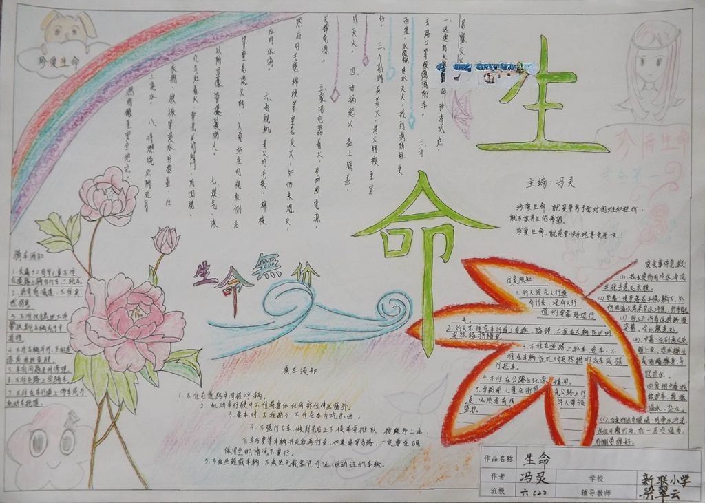 生命安全教育手抄报大全 生命安全教育手抄报大全