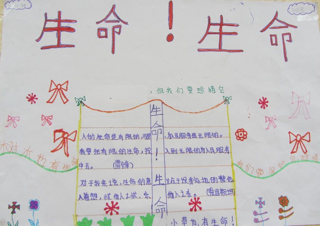 生命生命手抄报