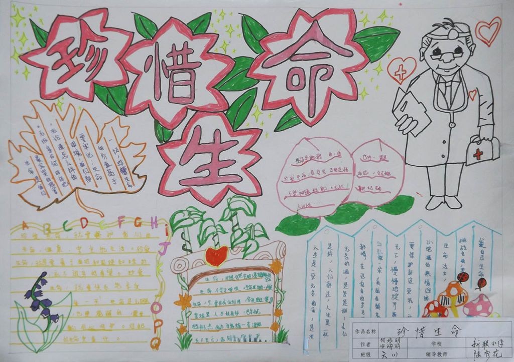 生命安全教育手抄报大全 生命安全教育手抄报大全