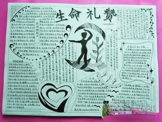 生命礼赞手抄报版面设计图