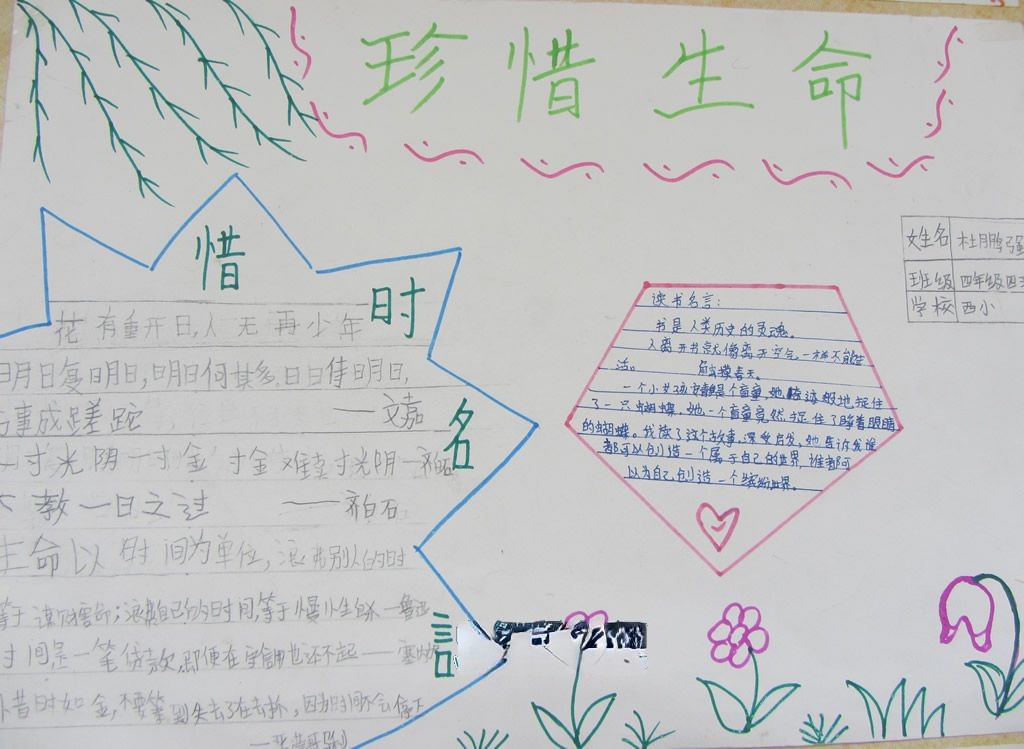 生命生命手抄报