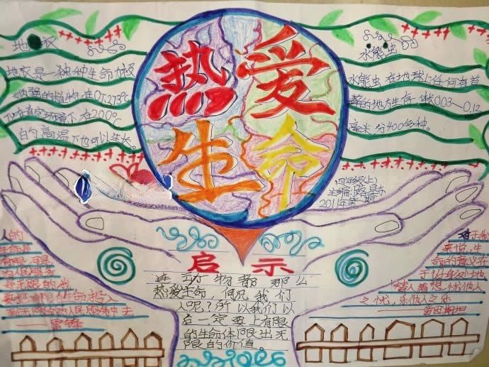 珍爱生命手抄报