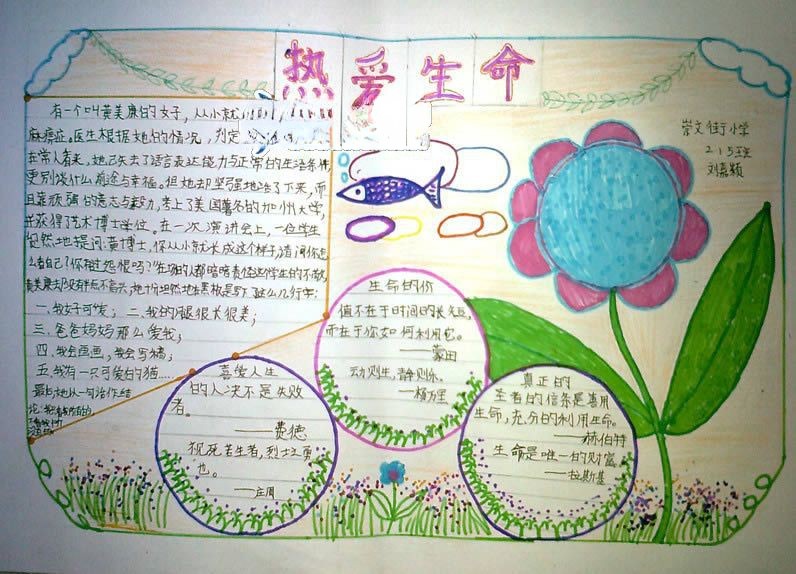 热爱生命手抄报版面设计图 热爱生命手抄报版面设计图