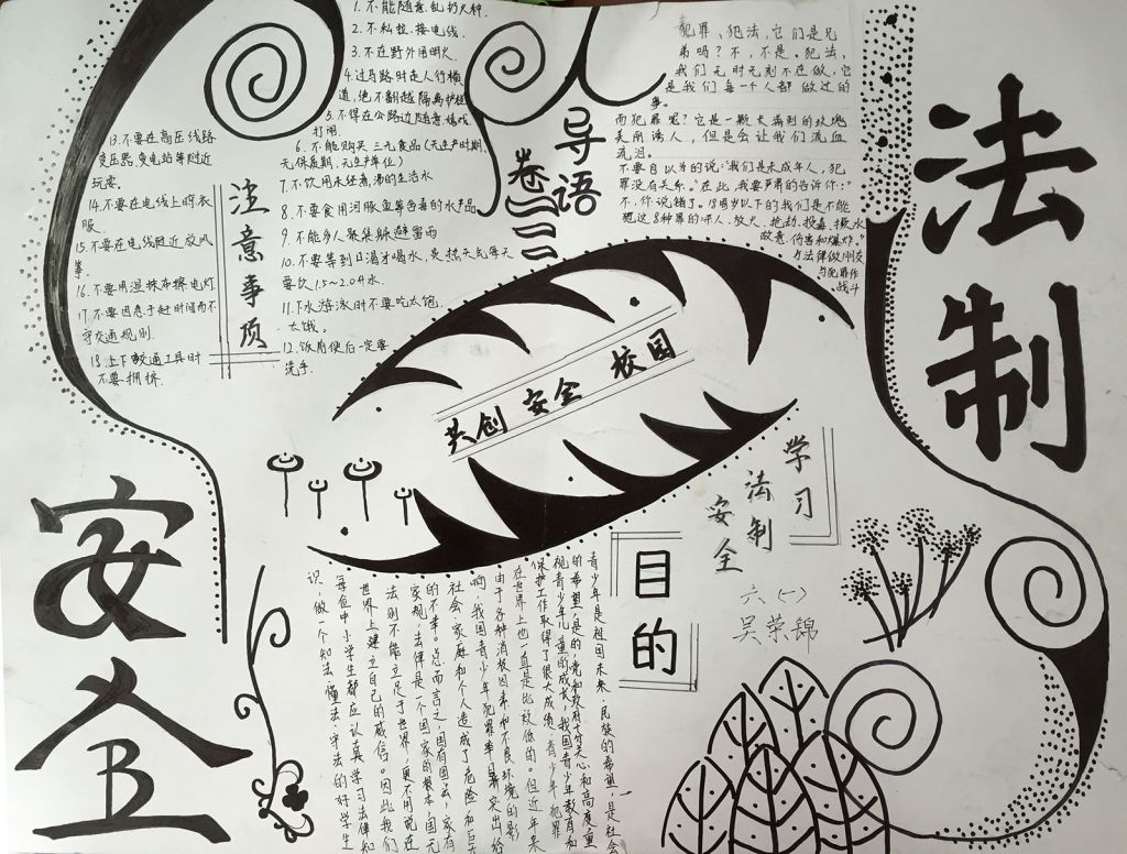 普及法律知识，学做懂法少年手抄报大全