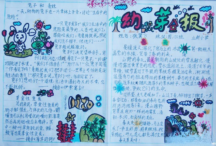 幼芽报春天主题手抄报