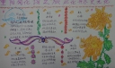 此花开尽更无花手抄报