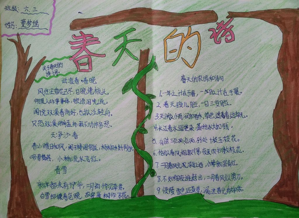 花开时节春满地手抄报