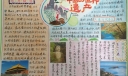 中国的世界遗产手抄报