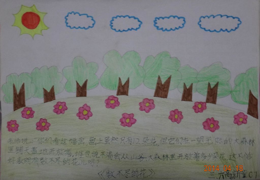 数不清的花朵手抄报大全