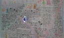 优秀手抄报集锦