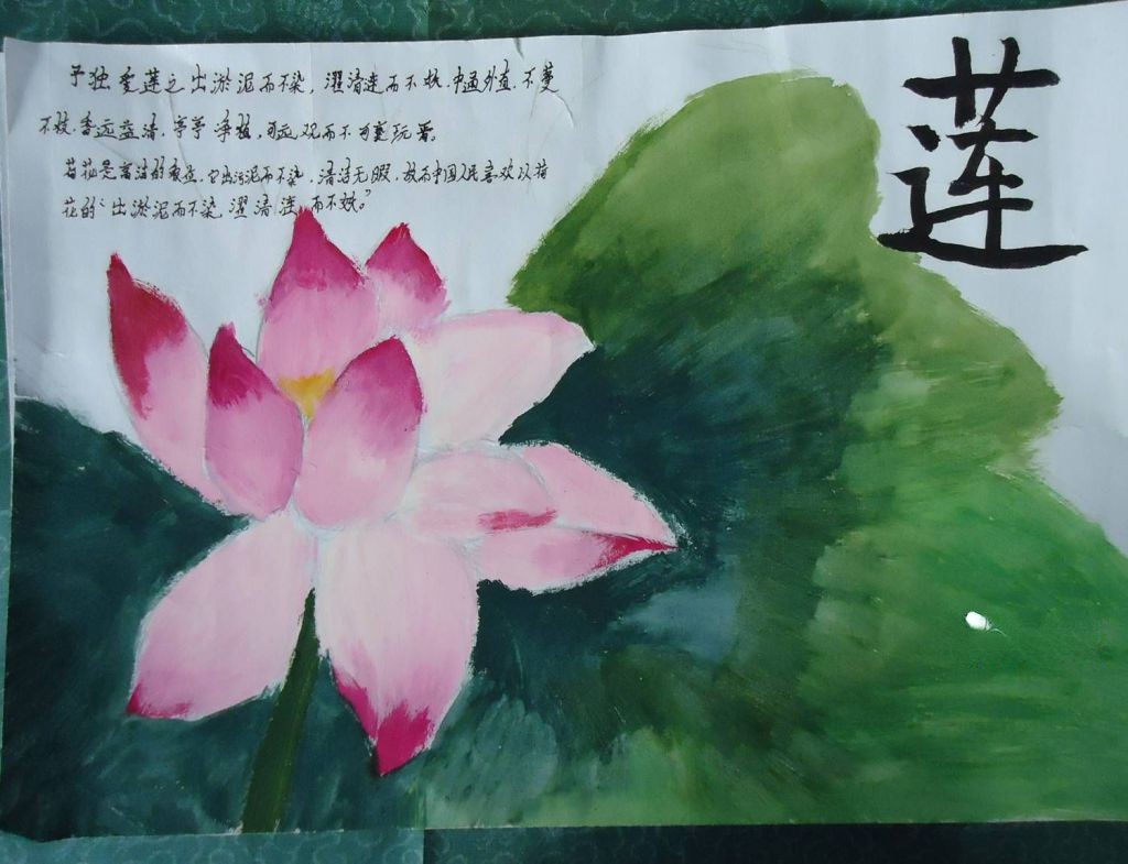 关于莲的手抄报