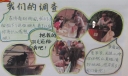 调查主题手抄报