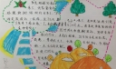 爱绿护绿手抄报大全
