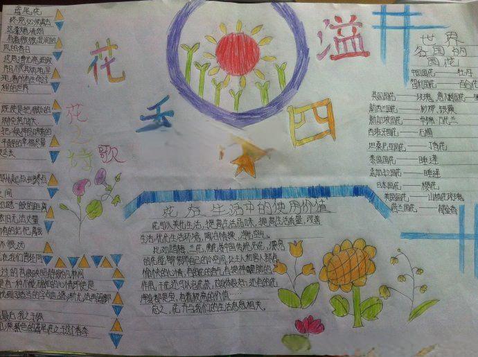 有关花的手抄报（组图）