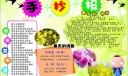 春天在哪里手抄报大全
