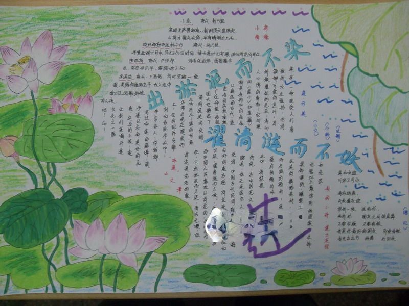 关于莲花的手抄报