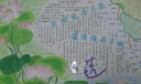关于莲花的手抄报