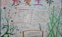 五年级珍惜生命手抄报