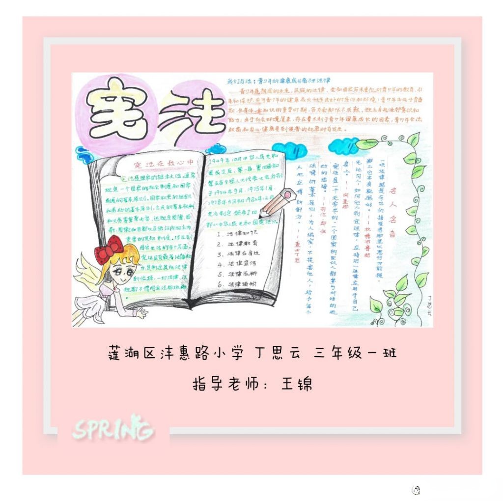 弘扬宪法精神手抄报大全，关爱明天普法先行