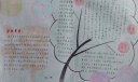 姓氏源流手抄报大全