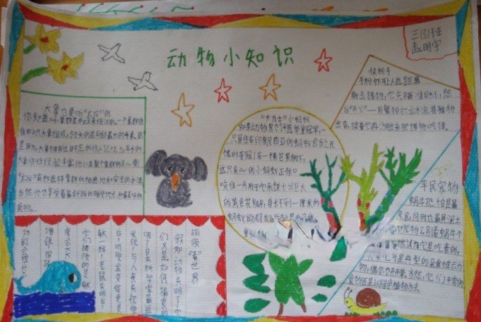 快乐的课余生活手抄报