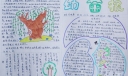 幼苗报迎春天手抄报