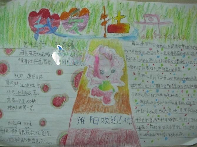 关于牡丹花的手抄报