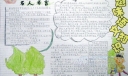 校园体育文化艺术节手抄报