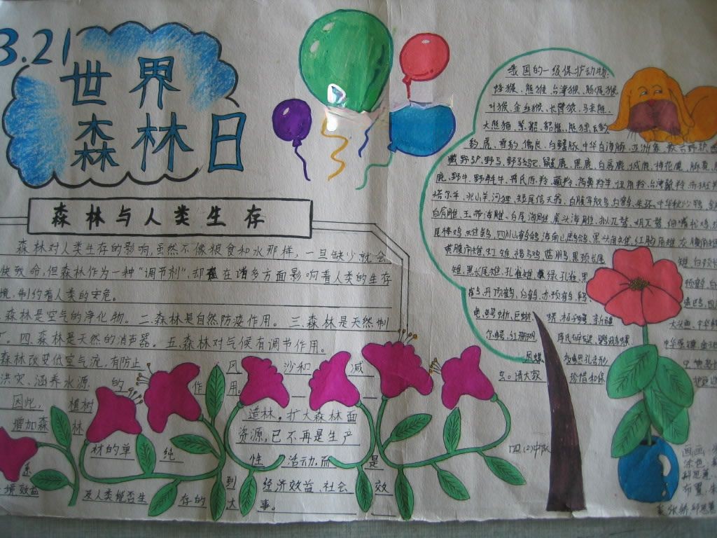 爱护森林手抄报版面图