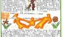 幸福主题的手抄报图片