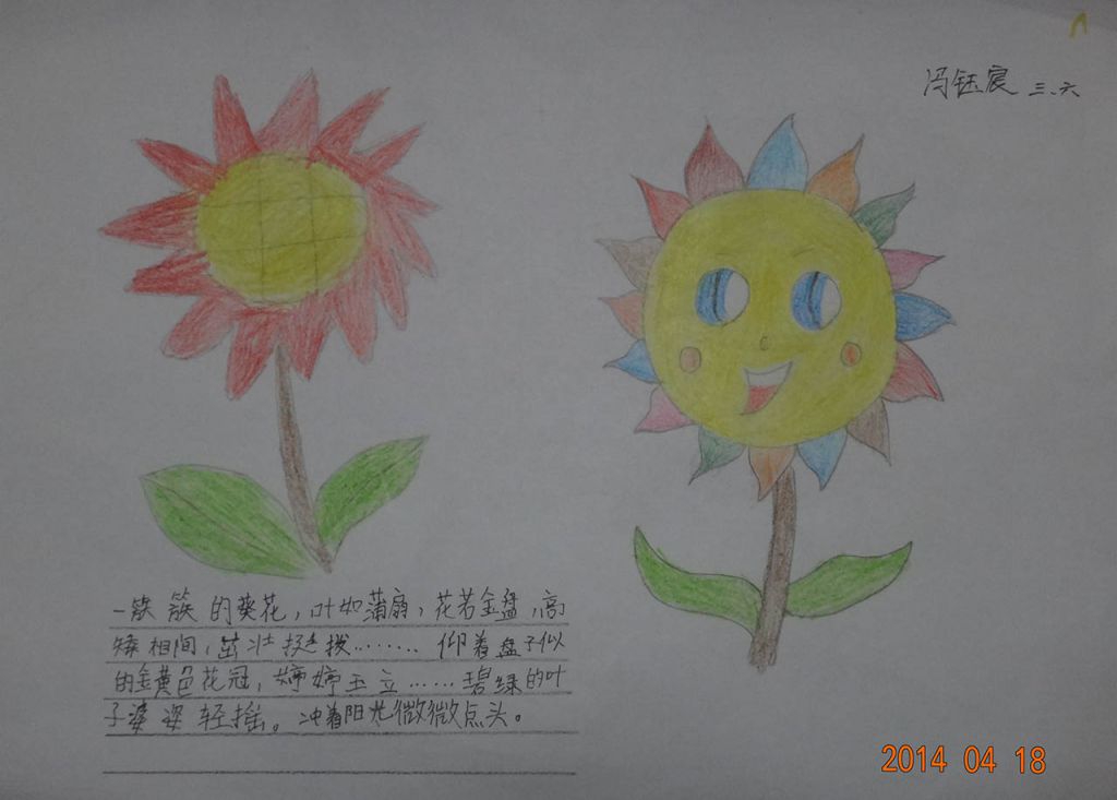 数不清的花朵手抄报大全