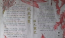 凤凰涅槃浴火重生手抄报
