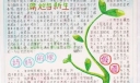 绿光手抄报图片
