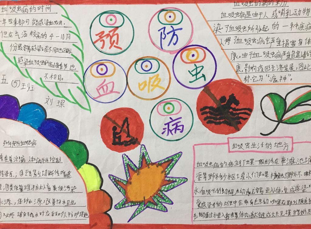 预防血吸虫病手抄报图片