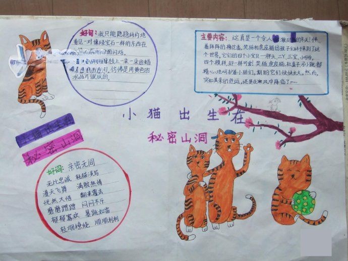 小猫出生在秘密山洞手抄报图片