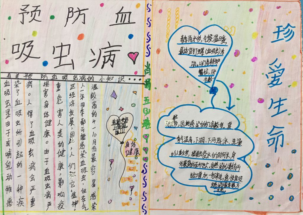 预防血吸虫病手抄报图片