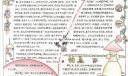 幸福花园手抄报版面图