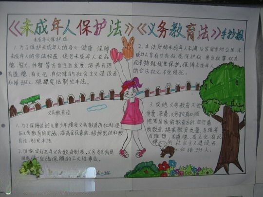 《未成年人保护法》《义务教育法》手抄报