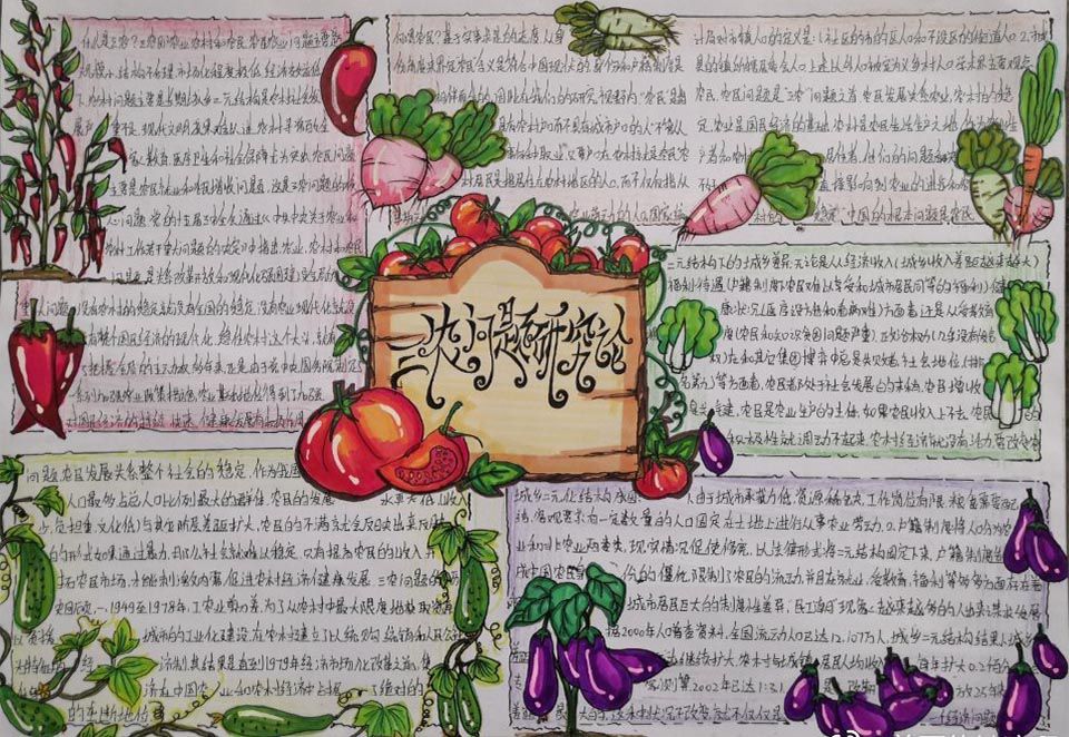 三农问题研究论手抄报图片 三农问题研究论手抄报图片