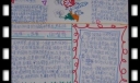 走近湿地候鸟手抄报作品