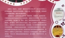 小学生竞选大队干部海报