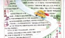 小学低年级特等奖手抄报：石都小报
